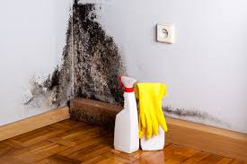 Why You Should Choose Our Mold Remediation Services in Green Meadows, OH